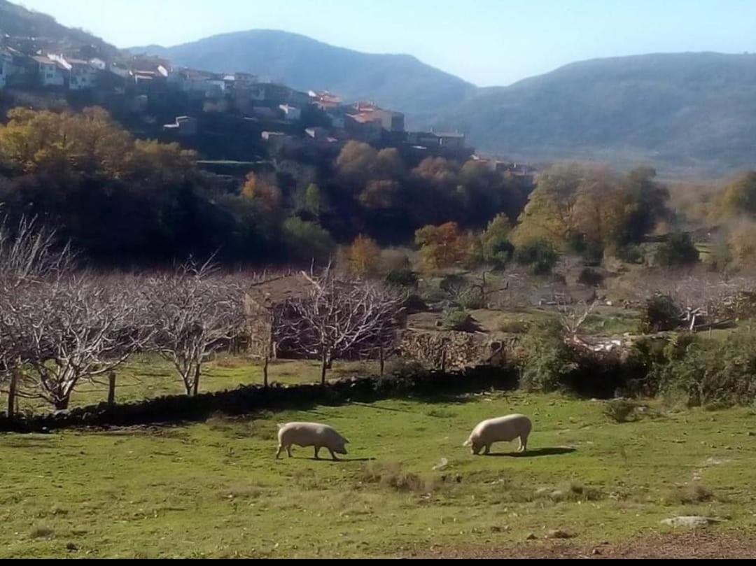 El Nido, Casa Rural Casas del Castañar 외부 사진
